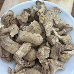 CHÂN NẤM HƯƠNG KHÔ