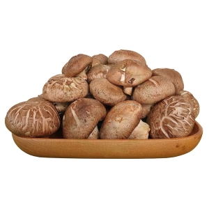 NẤM HƯƠNG TƯƠI