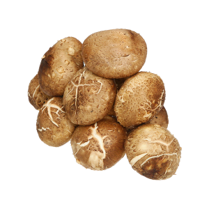 NẤM HƯƠNG TƯƠI